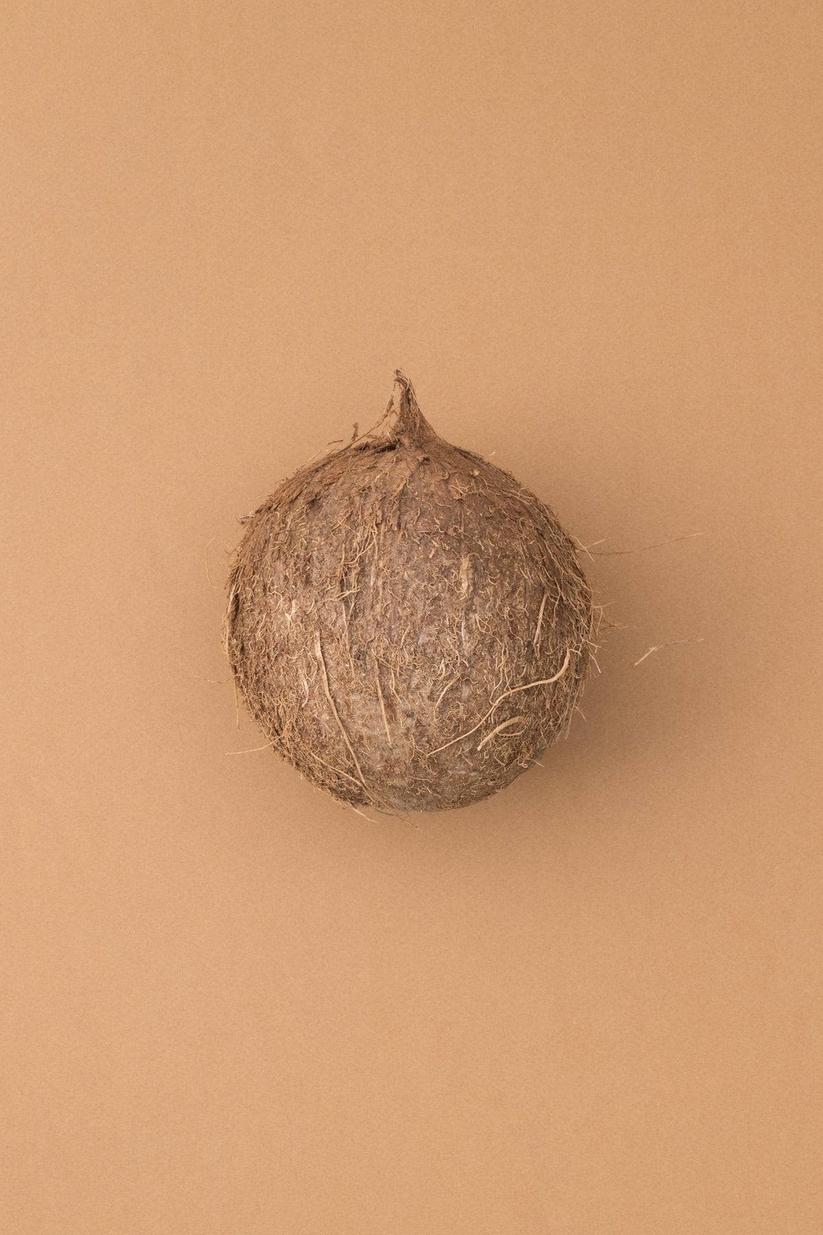 Coco Image