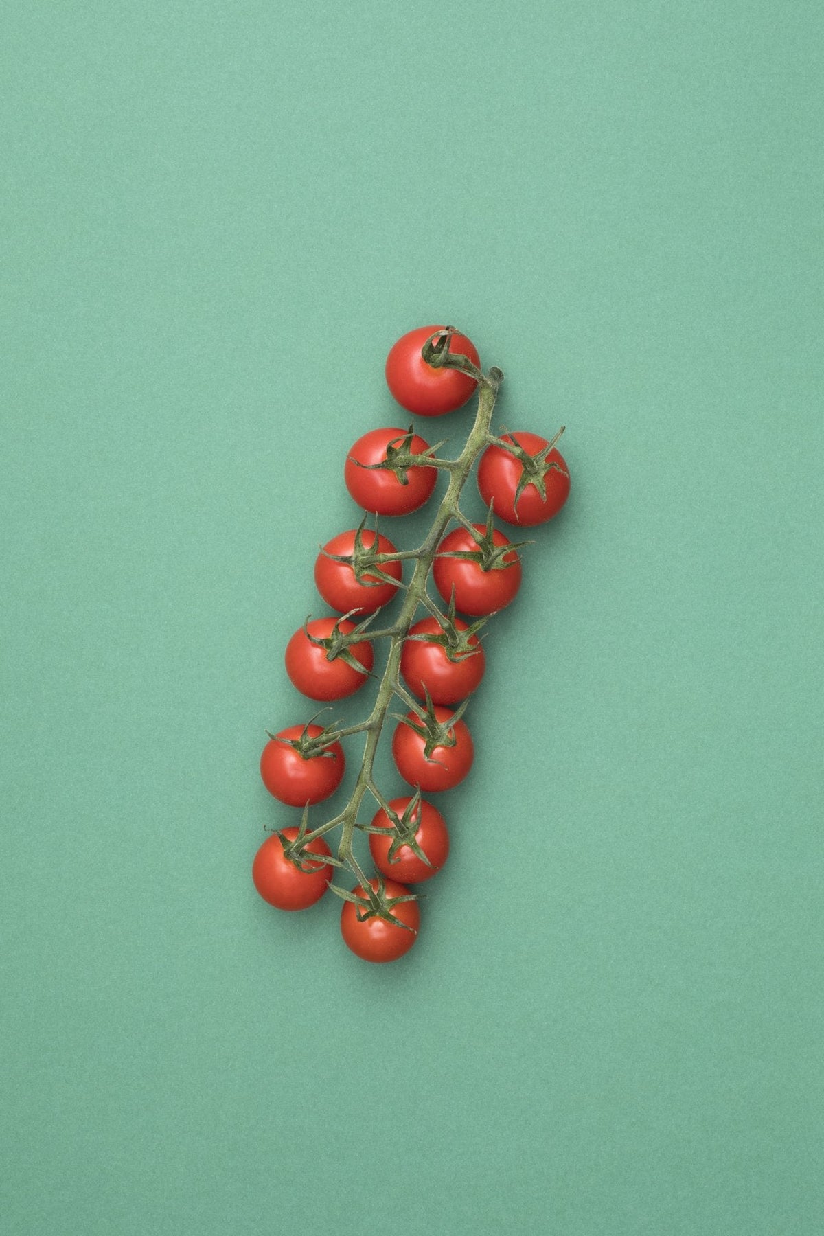 Cerises Image