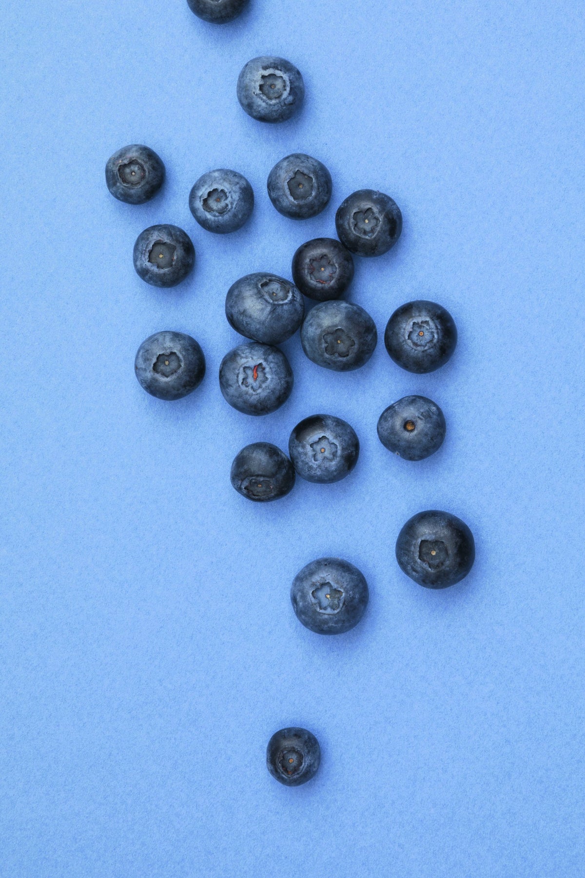 Myrtilles Image